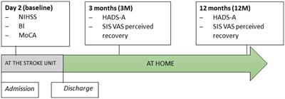 A cohort study on anxiety and perceived recovery 3 and 12 months after mild to moderate stroke